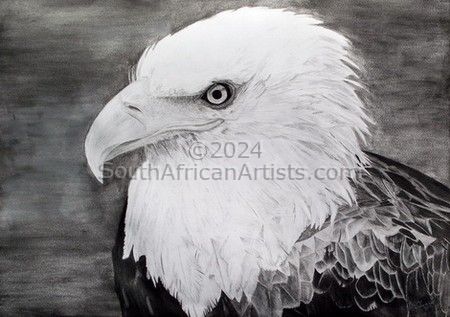 African Fish Eagle portrait
