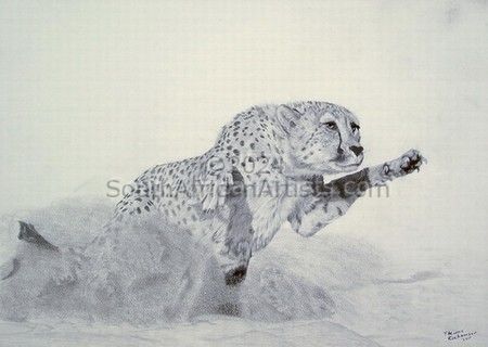 Pouncing Cheetah