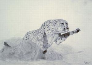 "Pouncing Cheetah"