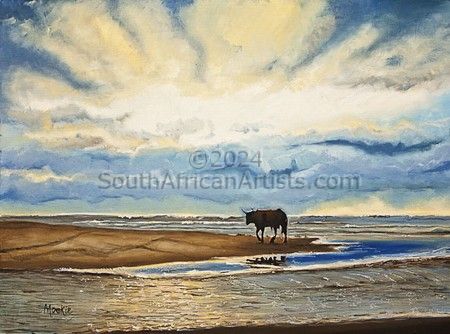 Beach Cow - Transkei