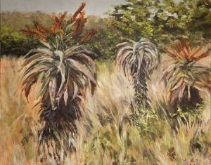 "Aloes 2009"