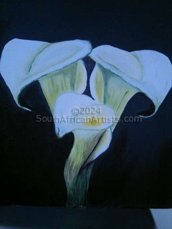 arum lilies