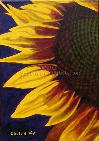 sunlit sunflower