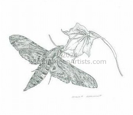Moth & Gladiolus