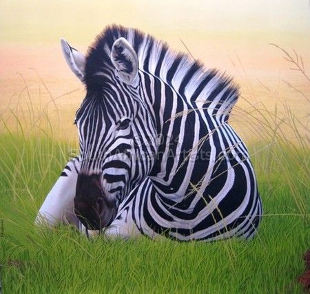 Reclining Zebra
