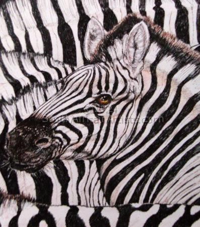 Swimming in a Sea of Zebra