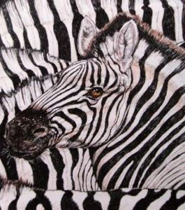 "Swimming in a Sea of Zebra"