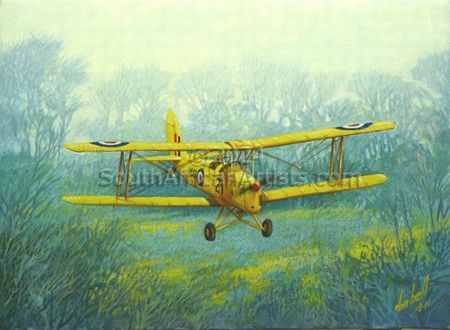 DeHavilland D.H.82A Tiger Moth - Staying Low