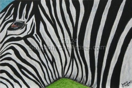 Eye, the Zebra