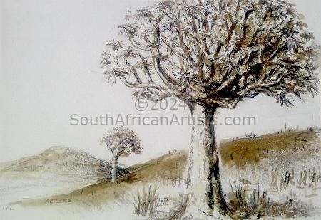 Aloe Trees in Namaqualand