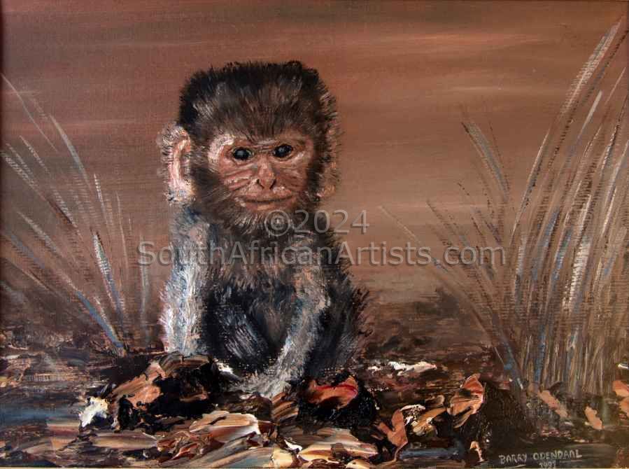 Juvenile Monkey (Out of Africa)