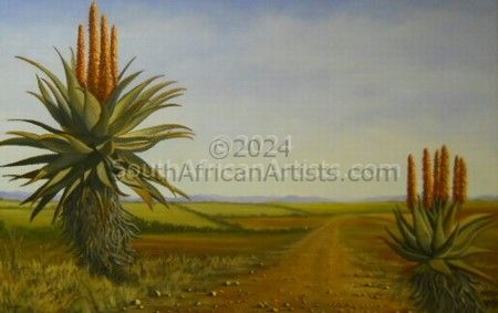 Cape Aloe landscape