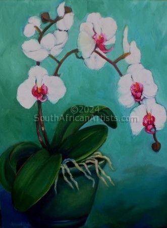 White Orchids - Turquoise Series