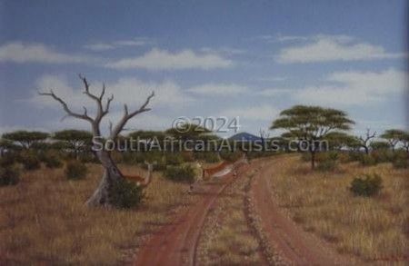Bushveld Impala