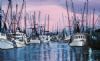 "Harbour dawn"