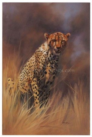 Pensive Cheetah