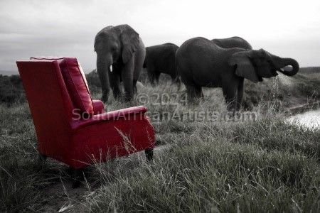 Elephants, My Father's Chair