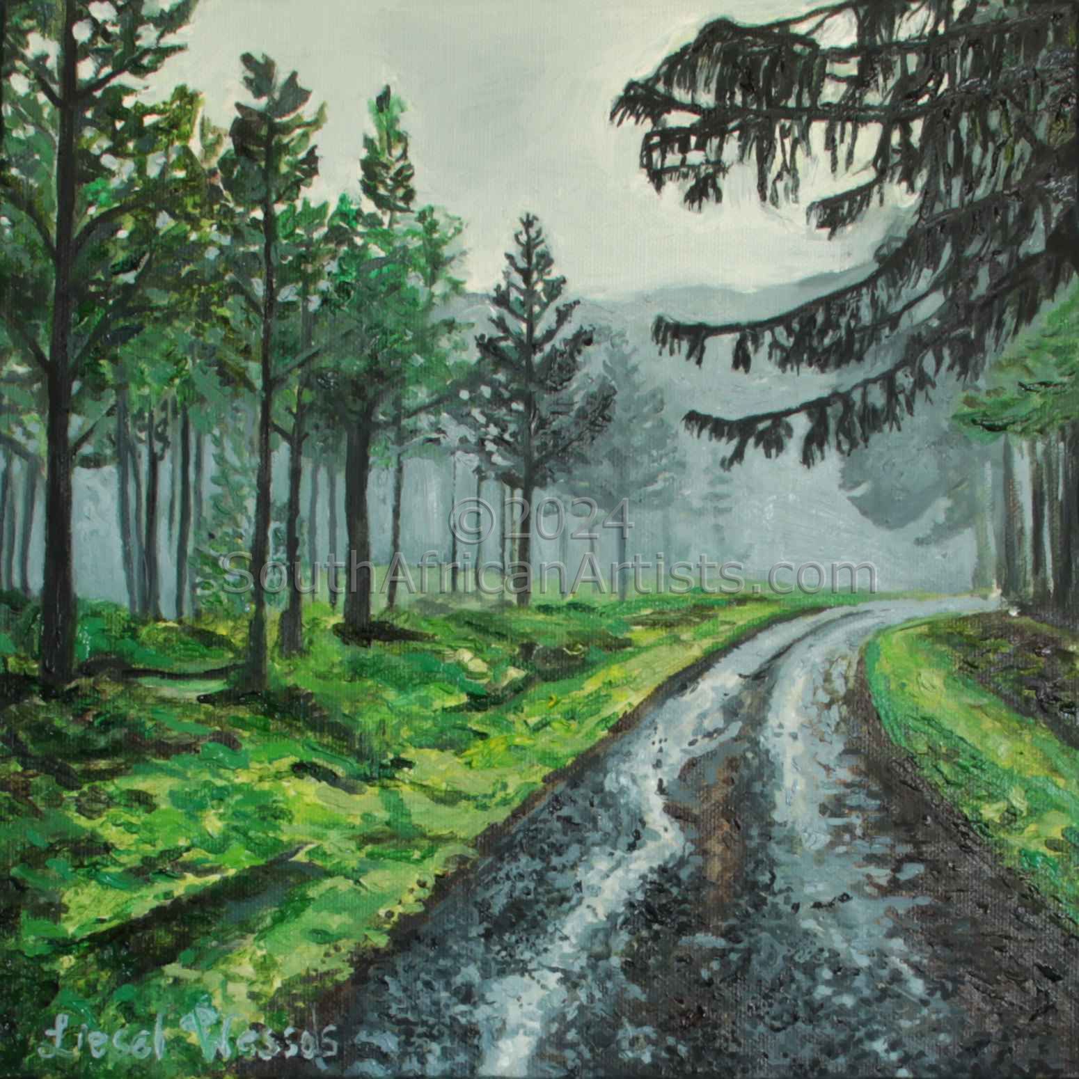 Misty Road (Hogsback)
