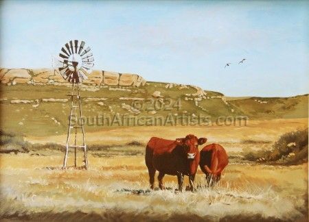 Waterkloof Cattle with Windmill
