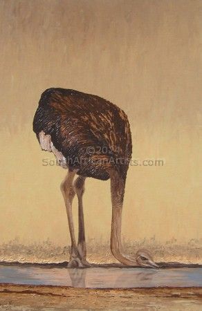 Ostrich at Waterhole