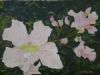 "Pale Pink Flowers"