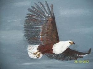 "African Fish Eagle in Flight"