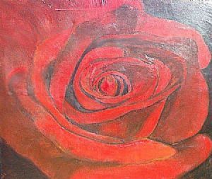 "Rose of Sharon"