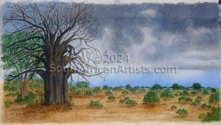 Baobab Awaiting Rain
