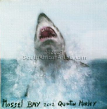 Shark - Mossel Bay