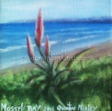Aloe - Mossel Bay