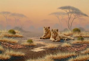 "Lion Cubs 01"