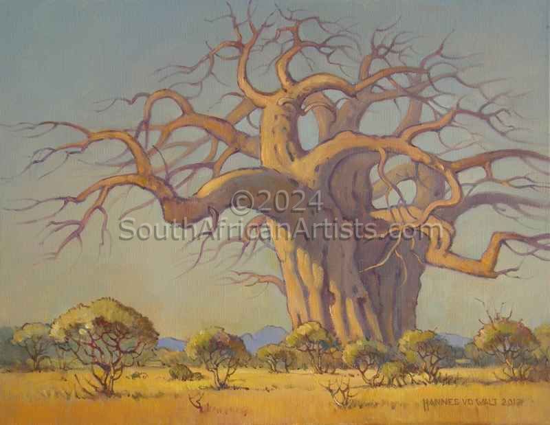 Baobab - The Giant of the Bushveld