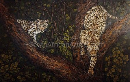Leopards in Tree