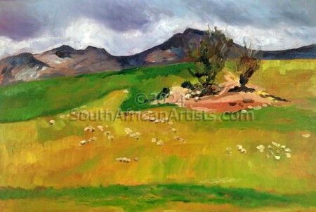 Sheep in Caledon Fields