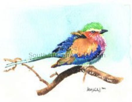 Lilac Breasted Roller