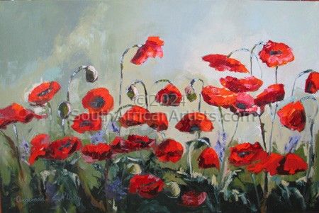 Red Poppies in Field