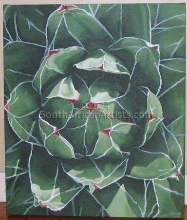Cabbage Cactus