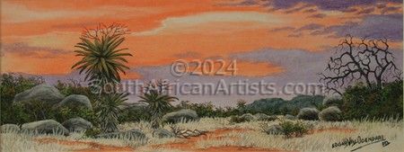 Aloe Sunset 3