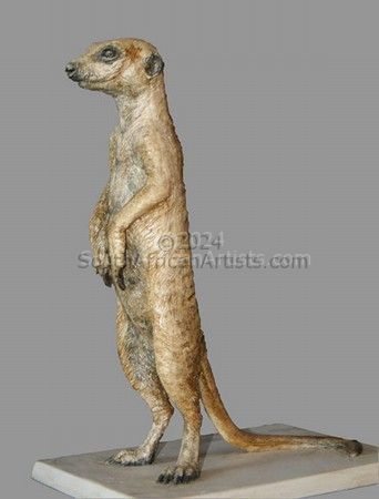 Stokstert Meerkat 