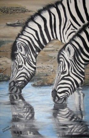 Zebras at the Waterhole