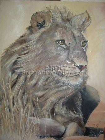 Lion (male)