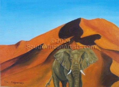 Sossusvlei Elephant