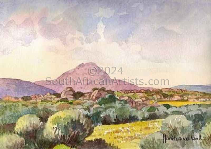 Landscape near Kamieskroon, Namaqualand