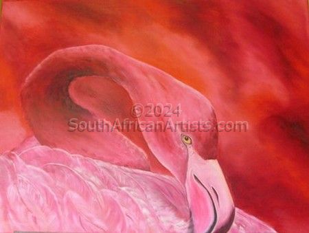 Flamingo: Come Hither Look