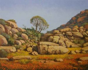 "Landscape Loeriesfontein Namaqualand"