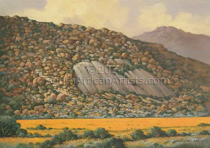 Ten Million Stones in Namaqualand