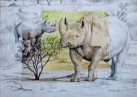Big Five -Rhino 