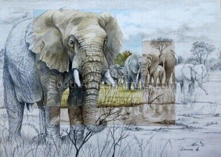 Big Five - Elephants 
