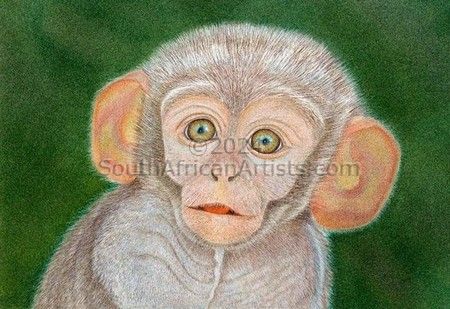 Baby Monkey - Giclee Print only