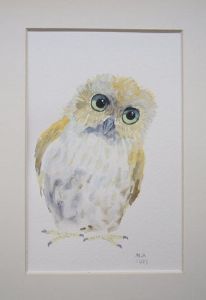 "Baby Owl"